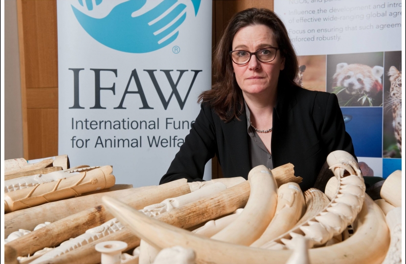 Rebecca Harris MP Calls Time On The Ivory Trade 