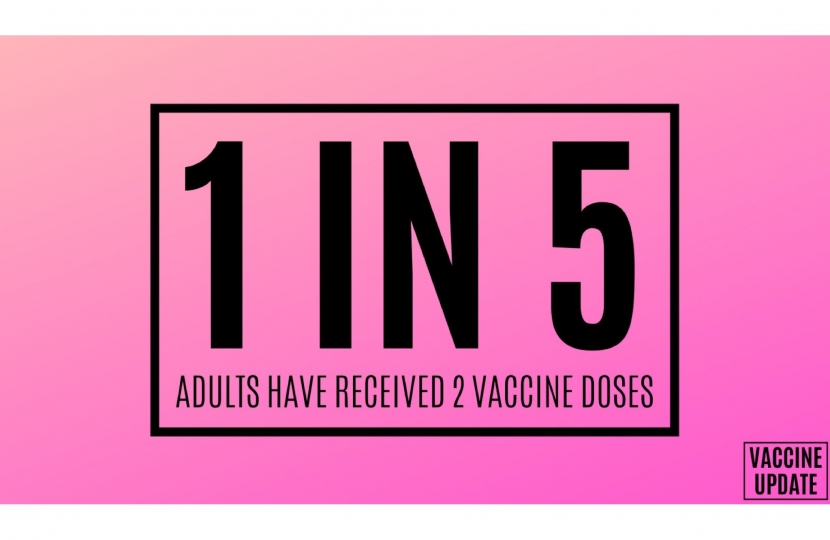 1 in 5 adults have received 2 vaccine doses