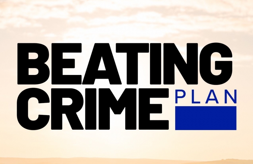 Beating Crime Plan