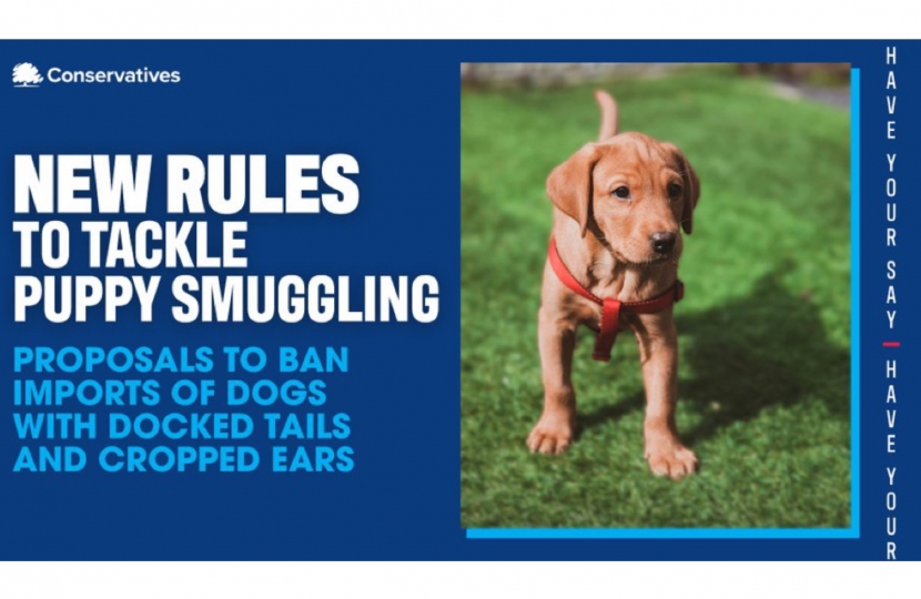 New rules to tackle puppy smuggling