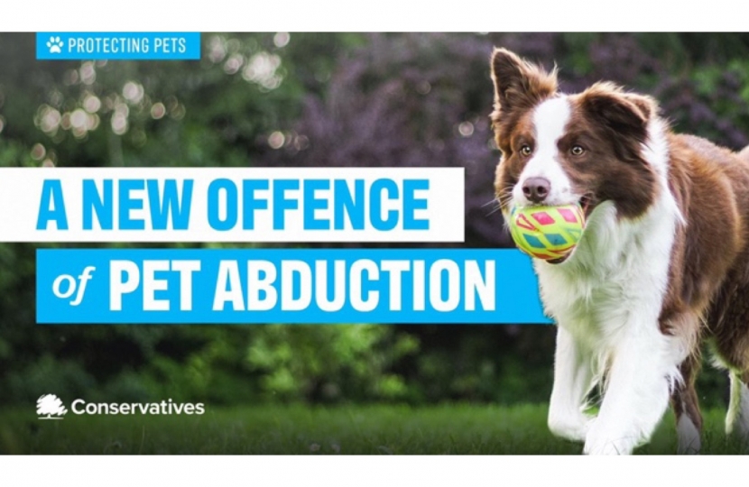 Pet Abduction