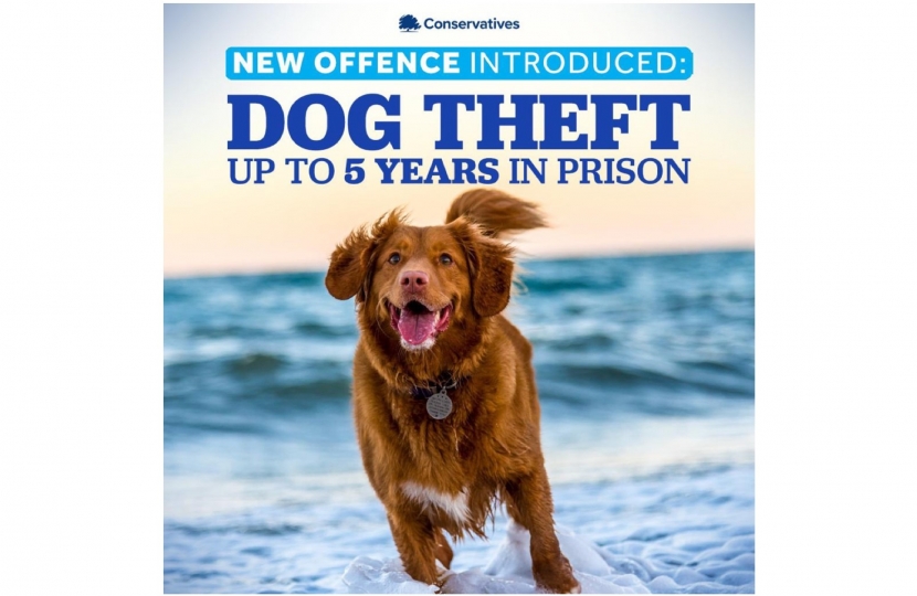 Dog Theft New Offence.jpg 
