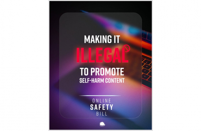 Online Safety Bill - Self Harm