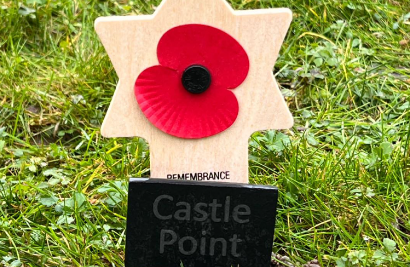 Castle Point Remembrance at Westminster memorial garden