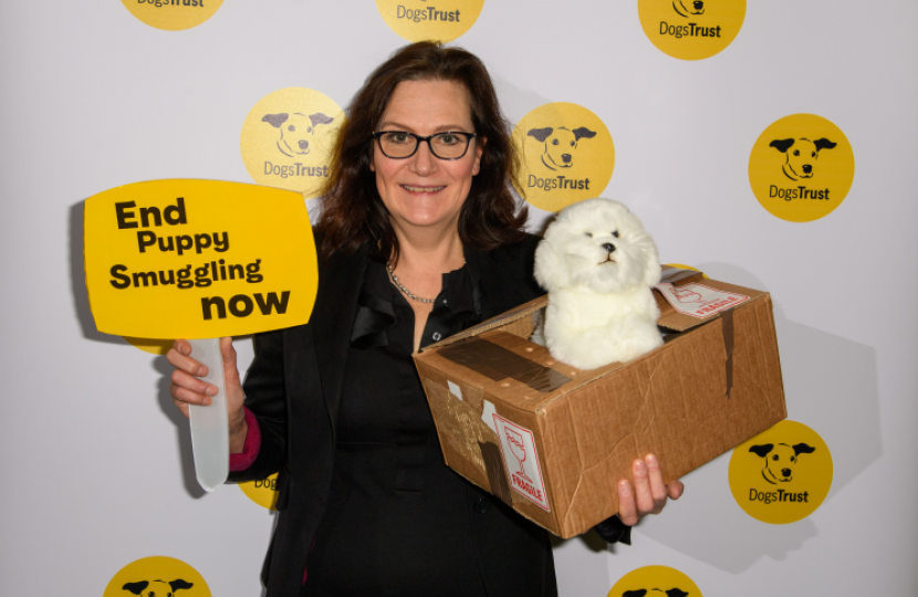 Rebecca Harris MP support Dogs Trust's plea to end cruel puppy smuggling trade