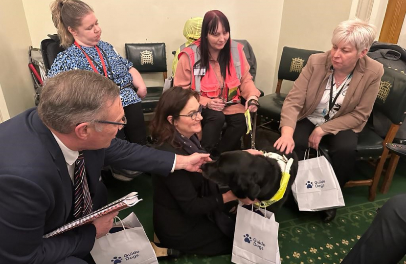 Rebecca Harris MP meets with Guide Dogs UK charity