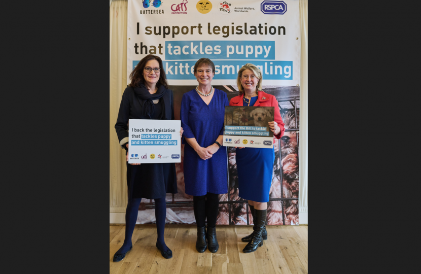 Rebecca Harris MP shows support for ‘urgent’ Bill to protect welfare of cats, dogs and ferrets