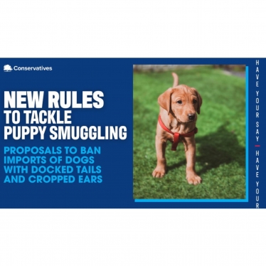 New rules to tackle puppy smuggling