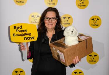 Rebecca Harris MP support Dogs Trust's plea to end cruel puppy smuggling trade