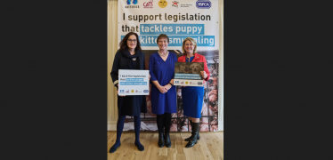 Rebecca Harris MP shows support for ‘urgent’ Bill to protect welfare of cats, dogs and ferrets